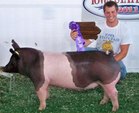 Bakker Winners