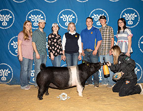 Bakker Winners